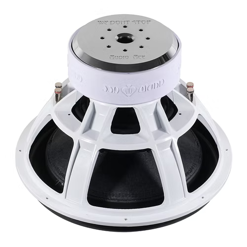 Audio Ace subwoofer with visible Audio Ace brand logo on the magnet boot on a white background