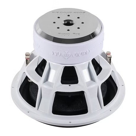 Audio Ace Jester Subwoofer with visible brand logo on a white background