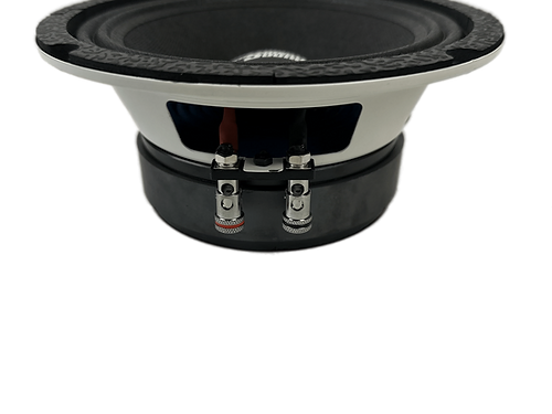 Resilient Sounds 65M 250w RMS 4ohm 6.5" speaker