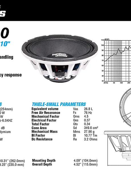 Resilient Sounds NEO 10" inch speaker