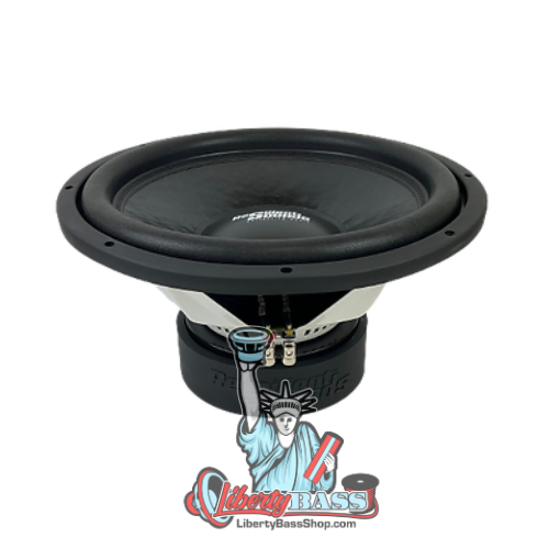 Resilient Sounds entry level v2 15inch subwoofer