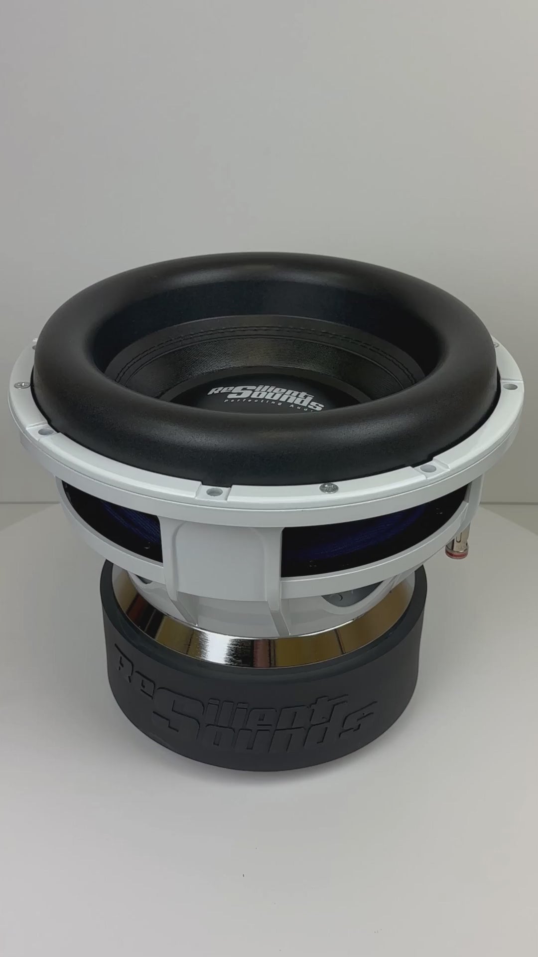 Resilient Sounds Gold V2 10 1500 RMS Subwoofer
