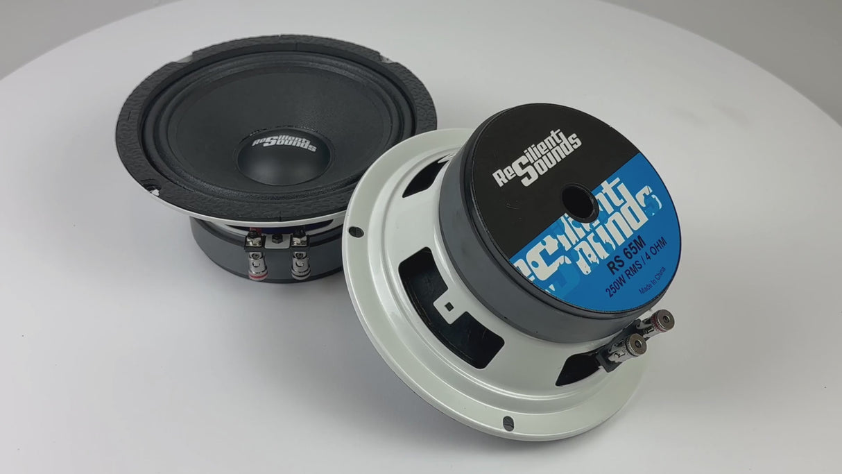 Resilient Sounds 65M 250w RMS 4ohm 6.5" speaker