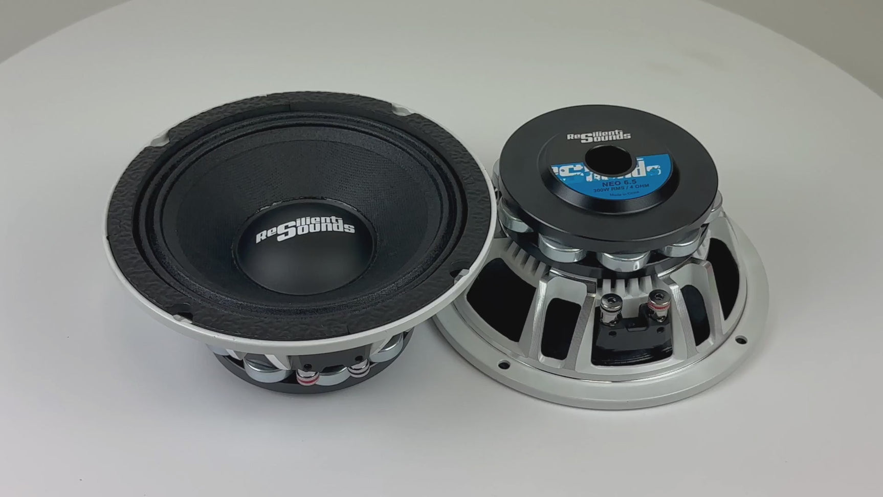 Resilient Sounds NEO 6.5 inch speaker